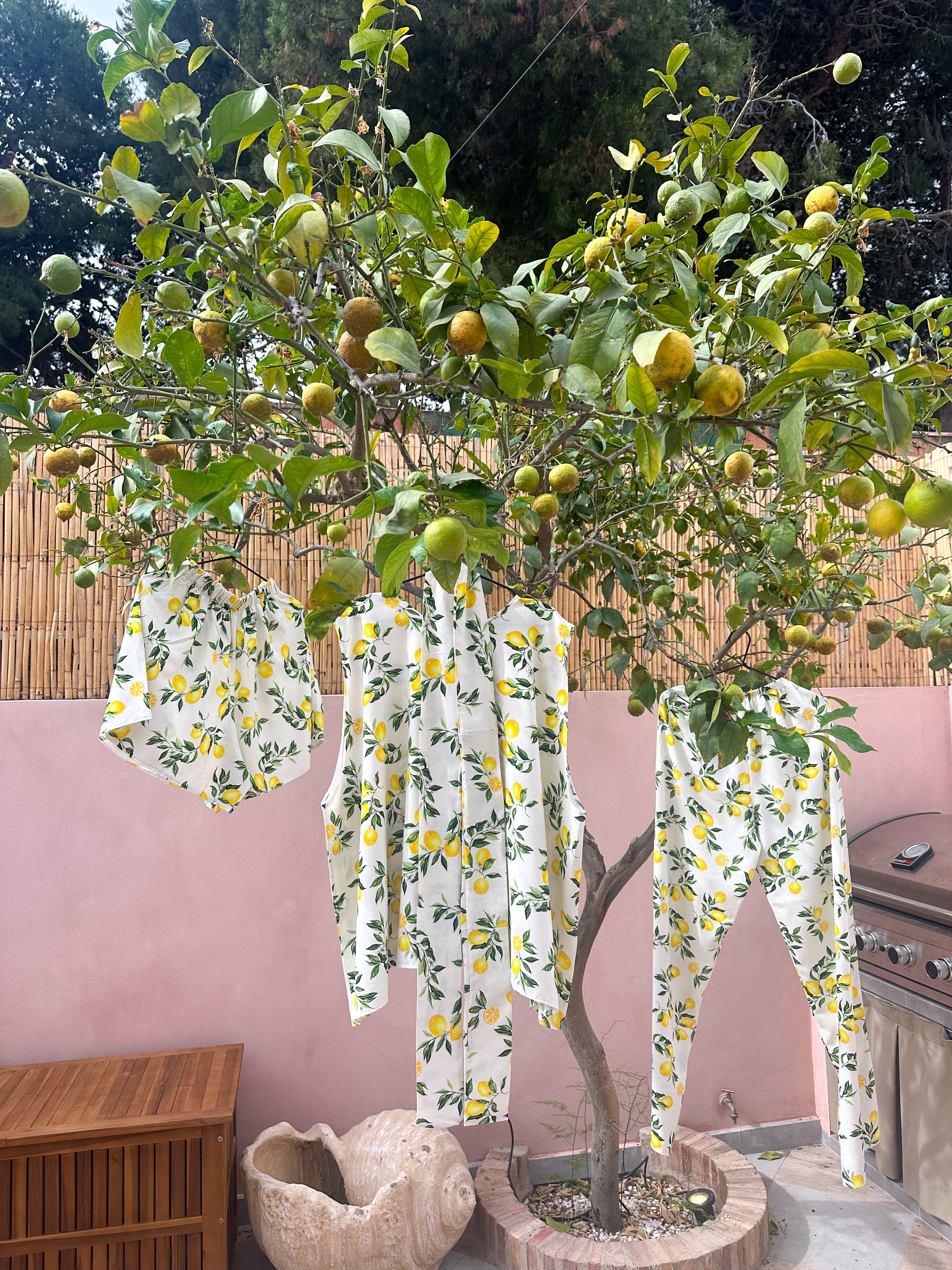 The Sorrento Runner Shorts In Scattered Lemon Print