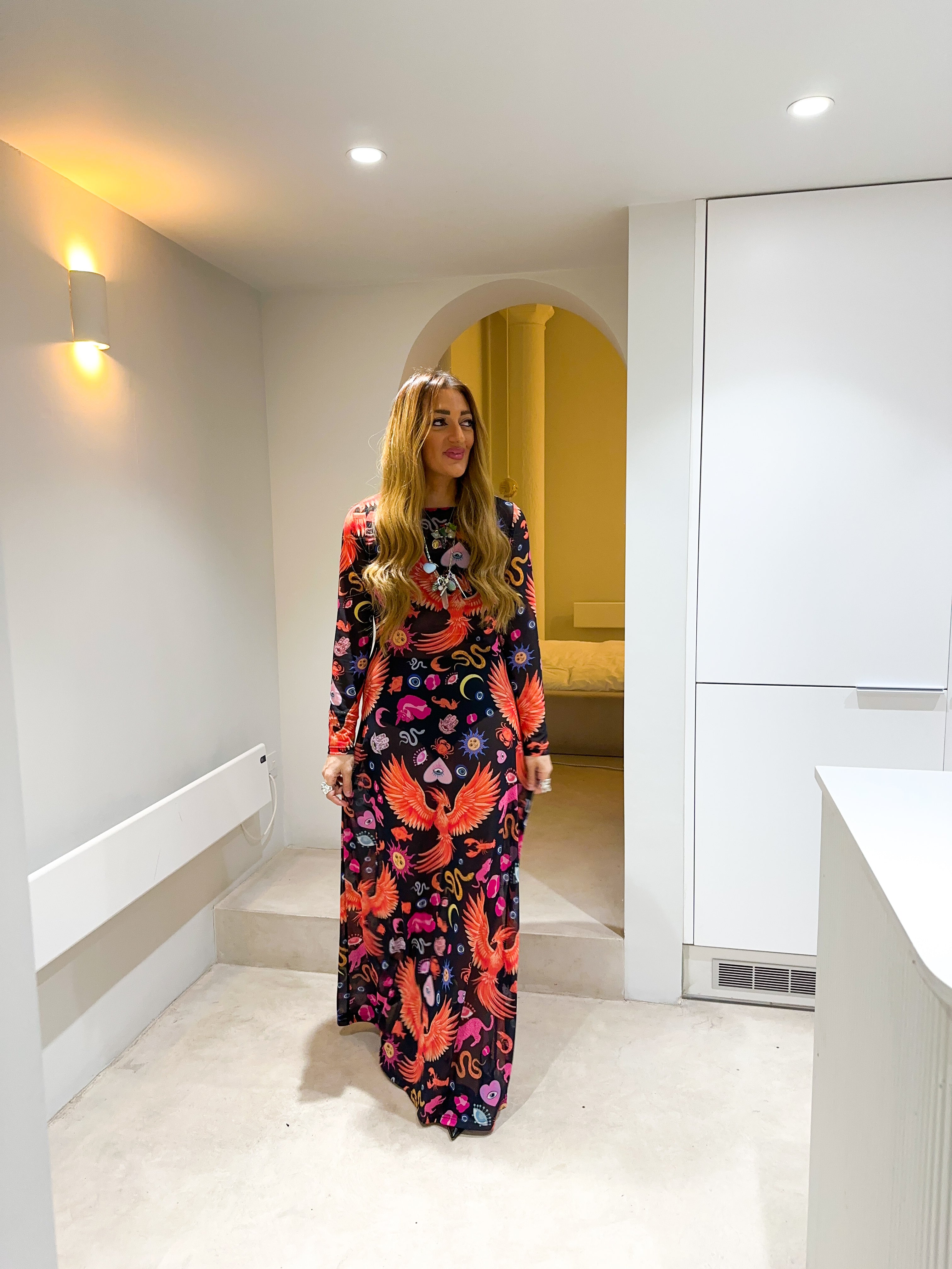 The Phoenix Mesh Dress