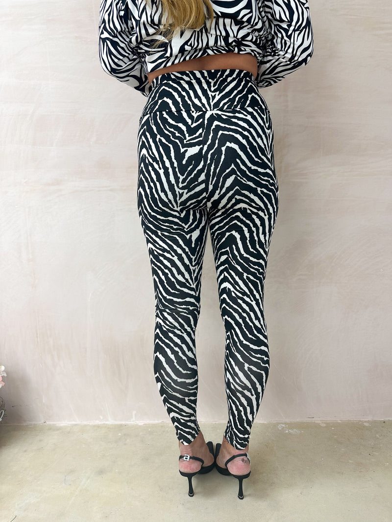 model wears High Waisted Leggings In Zebra Print