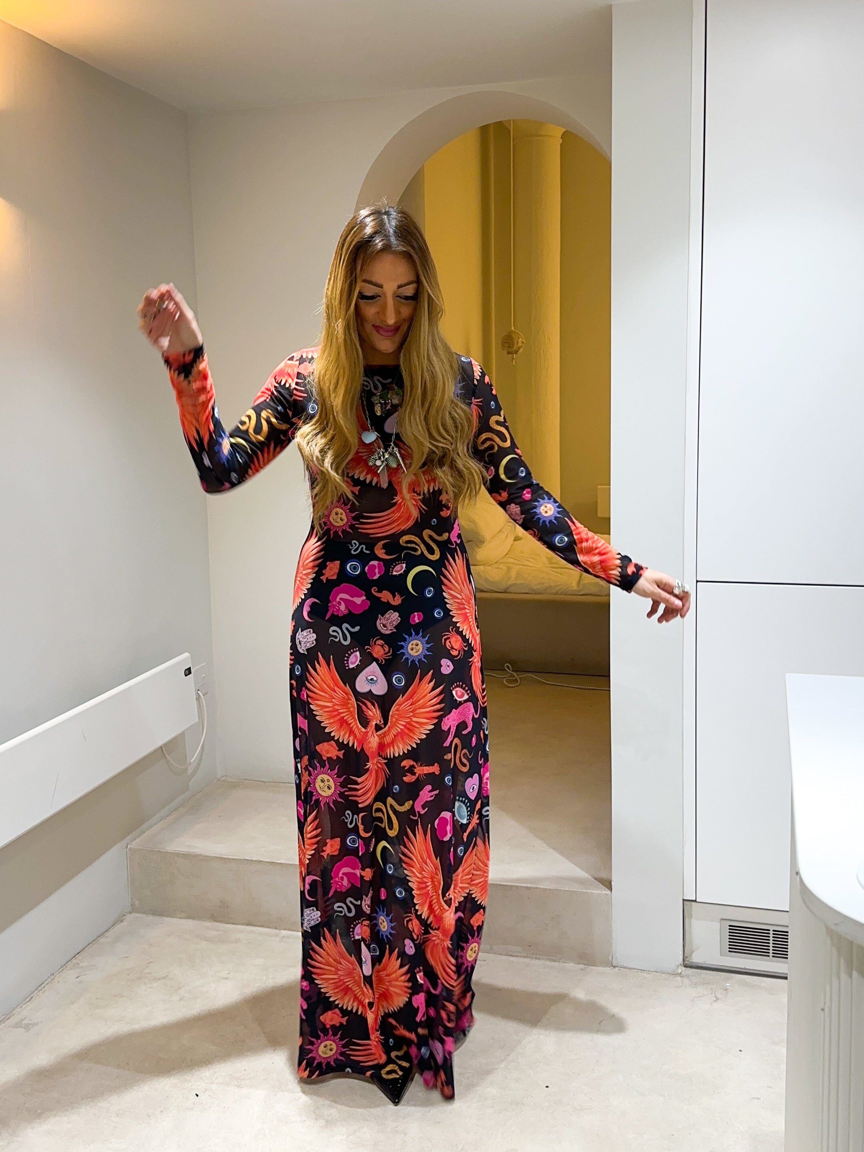 The Phoenix Mesh Dress