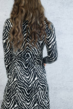Long Sleeve Maxi Dress In Zebra Print