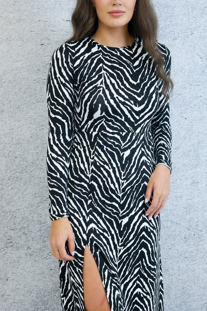 Long Sleeve Maxi Dress In Zebra Print