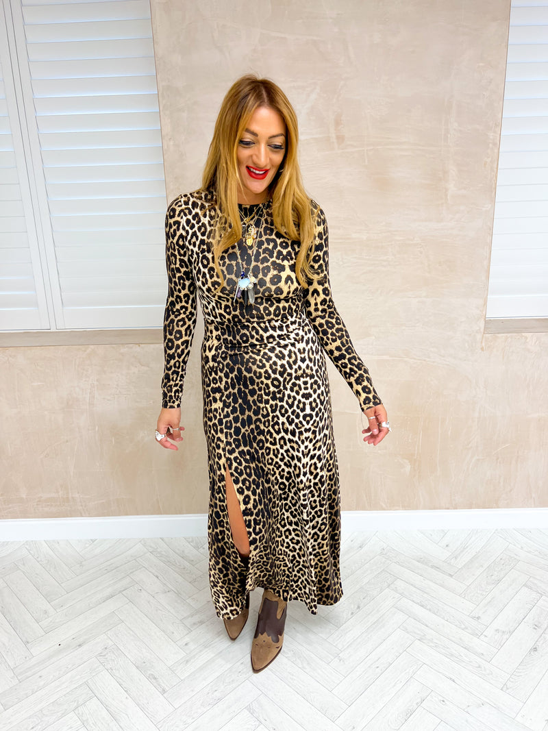 Long Sleeve Maxi Dress In Leopard Print